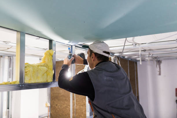 Best Local Insulation Services  in Mount Vernon, NY