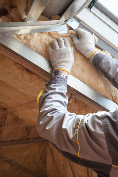 Best Cellulose Insulation  in Mount Vernon, NY